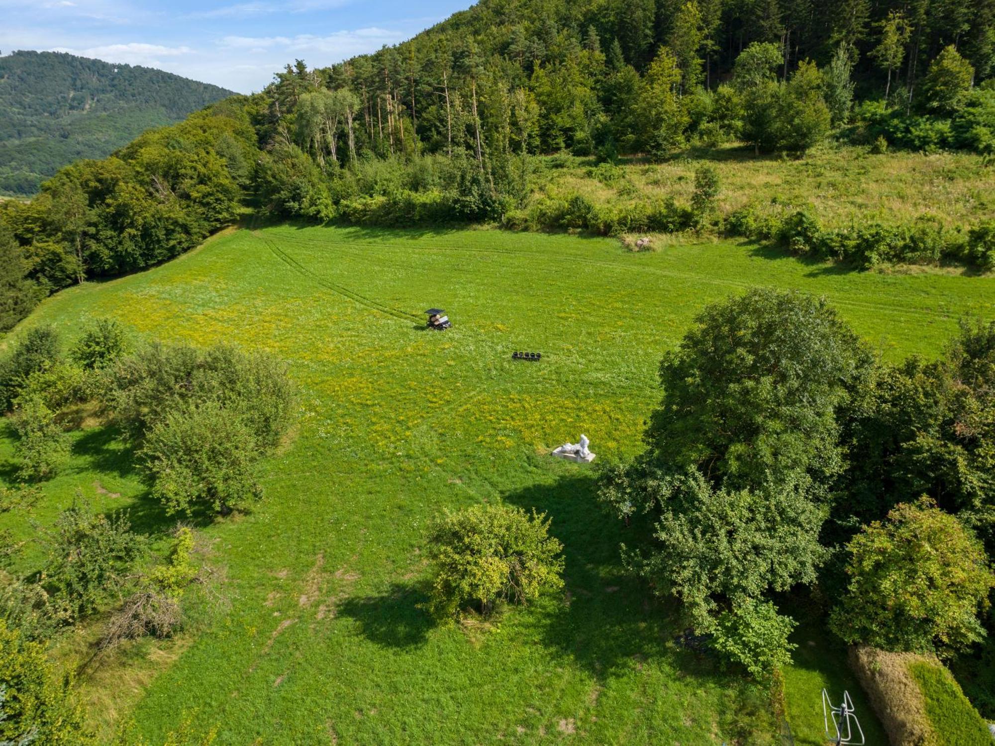 La Petite Ivy, Trenninghof 1302, Wachau - Managed By Sky9 *